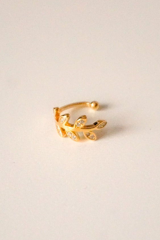Planta Cuff